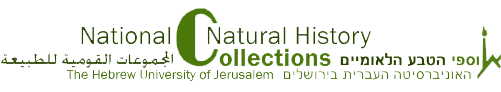 The National Natural History Collections