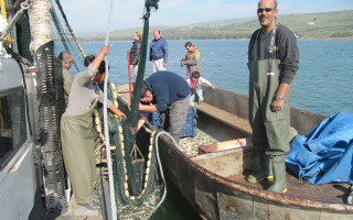 Collecting samples