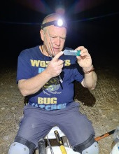 Yoram Zvik