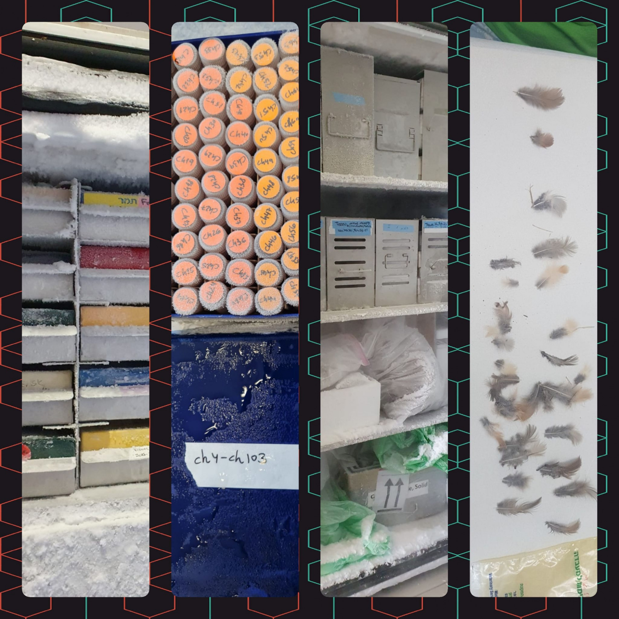 Wildlife CryoBank